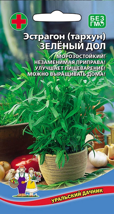 Эстрагон Зеленый дол: описание растения, фото, характеристики, особенности посадки и выращивания, отзывы