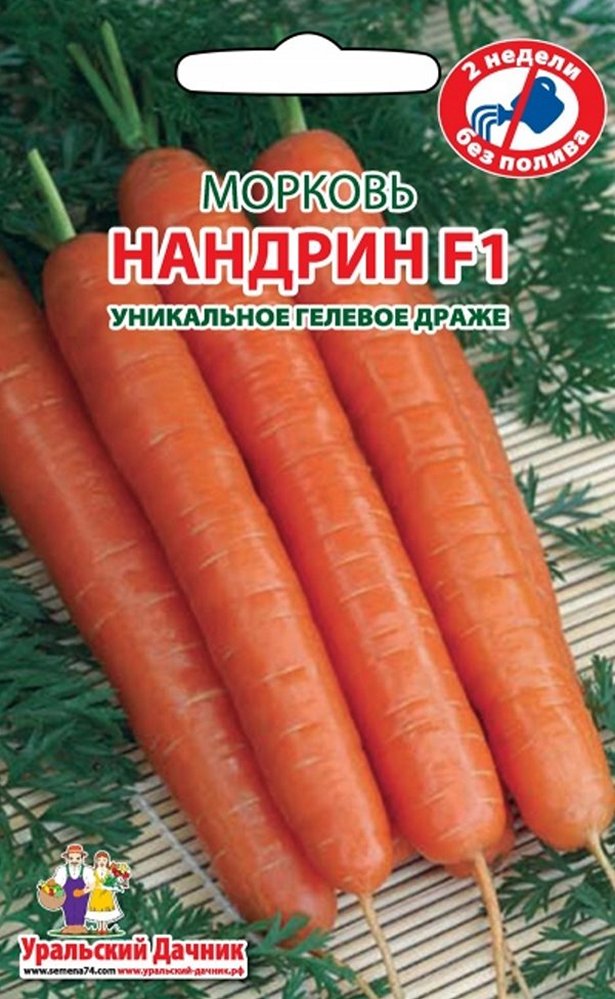 Морковь нандрин. Морковь Нандрин f1. Семена моркови Нандрин. Морковь Нандрин f1 150 шт Голландия. Морковь сорт Нандрин.