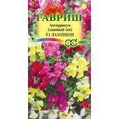 Антирринум (Львиный зев) Лампион F1 Гавриш