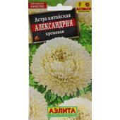 Астра Александрия кремовая Аэлита