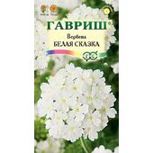 Вербена Белая Сказка гибридная Гавриш