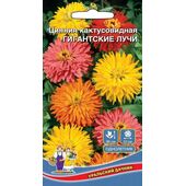 Цинния Гигантские лучи кактусовидная Уральский Дачник