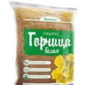 Горчица Белая сидерат  Успех