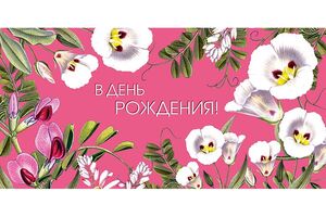 Конверт для денег 0318.831 В День Рождения! 83×167 мм. Арт Дизайн