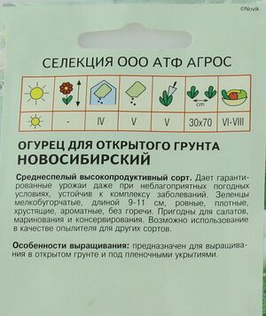Огурец Новосибирский  Агрос описание