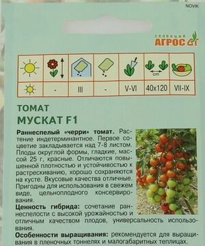 Томат Мускат F1 Агрос описание