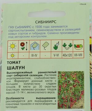 Томат Шалун Агрос описание