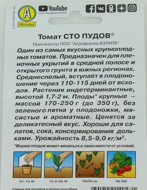 Томат Сто Пудов Аэлита описание