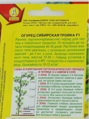 Огурец Сибирская Тройка F1  Аэлита
