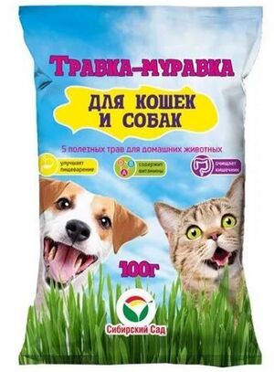 Трава для кошек и собак Травка-муравка Сибирский Сад