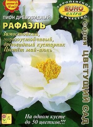 Пион древовидный Рафаэль Аэлита