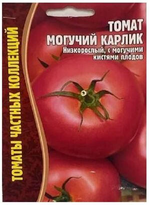 Томат Могучий Карлик Григорьев