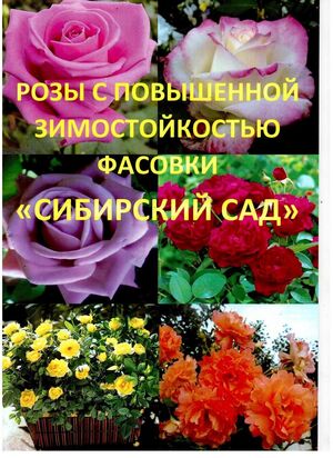 Каталог Розы Сибирский Сад