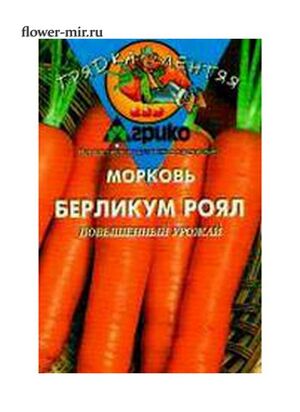 Морковь Берликум Роял  Грядка Лентяя