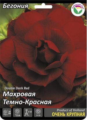 Бегония Махровая Темно-красная Сибирский Сад
