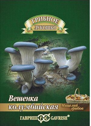 Мицелий Вешенка Колумбийская на древесной палочке Гавриш