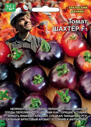 Томат Шахтер F1 Уральский Дачник
