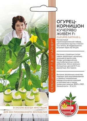 Огурец Кучеряво Живем F1 Уральский Дачник