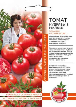 Томат Кудрявый малыш Уральский Дачник
