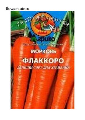 Морковь Флаккоро Грядка Лентяя