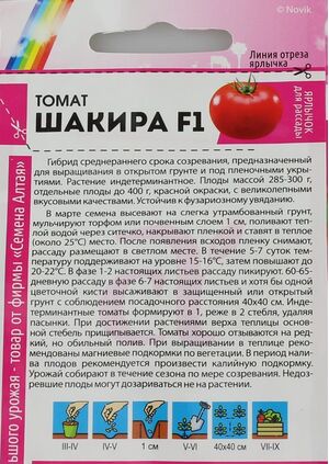Томат Шакира F1 серия Голландские Семена Семена Алтая описание
