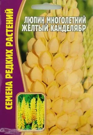 Люпин Желтый Канделябр Григорьев