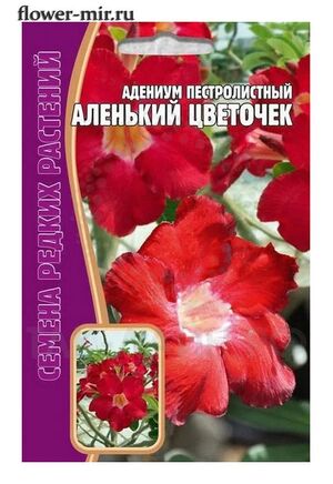 Адениум Пестролистный Аленький Цветочек Григорьев