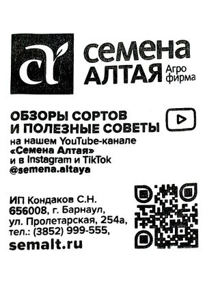 Томат Де Барао Черный Семена Алтая описание