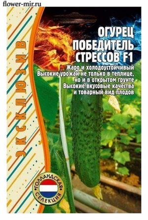 Огурец Победитель Стрессов F1 Григорьев