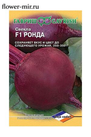 Свекла Ронда F1 Голландия Гавриш