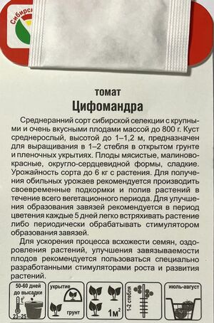 Томат Цифомандра Сибирский Сад описание