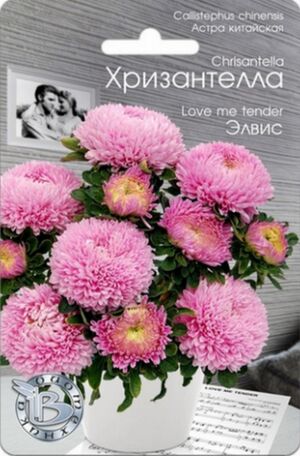 Хризантелла Элвис Биотехника