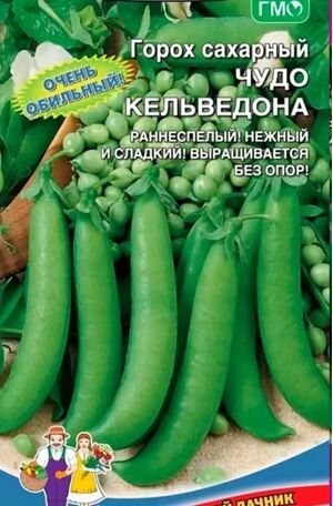 Горох Чудо Кельвидона Уральский Дачник
