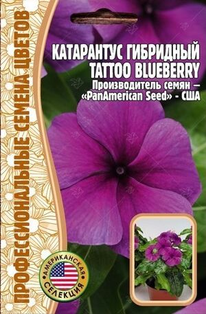 Катарантус гибридный TATTOO Blueberry F1 однолетник Григорьев
