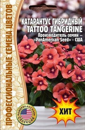 Катарантус гибридный TATTOO Tangerine F1  однолетник Григорьев