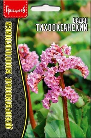 Бадан Тихоокеанский многолетник Григорьев