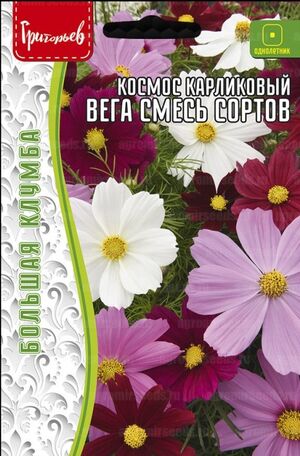 Космос Вега Смесь карликовый однолетник Григорьев