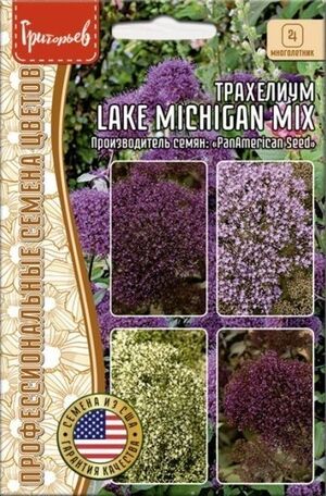 Трахелиум Lake Michigan Mix многолетник Григорьев