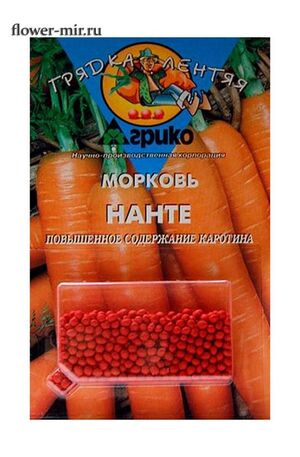 Морковь Нанте  Грядка Лентяя