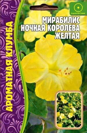 Мирабилис Ночная Королева желтая однолетник Григорьев