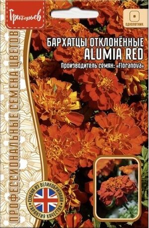 Бархатцы (Тагетес) Alumia Red отклоненные Григорьев