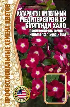 Катарантус гибридный Медитерениэн ХР Бургунди Хало однолетник Григорьев