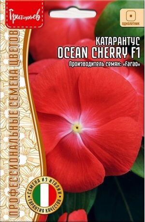 Катарантус Ocean Cherry F1 однолетник Григорьев