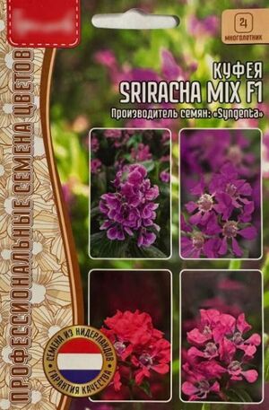 Куфея Sriracha Mix F1 многолетник Григорьев