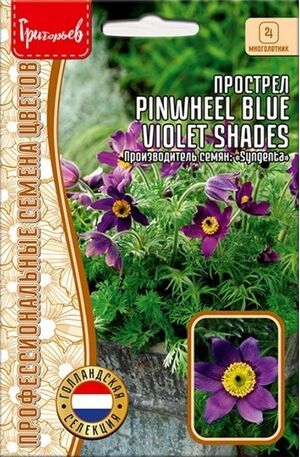 Прострел Pinwheel Blue Violet Shades многолетник Григорьев