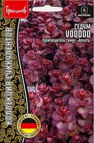 Седум Voodoo многолетник Григорьев