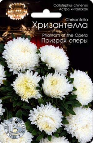Хризантелла Призрак Оперы Биотехника