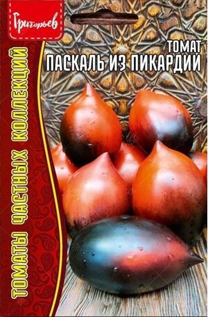Томат Паскаль из Пикардии Григорьев