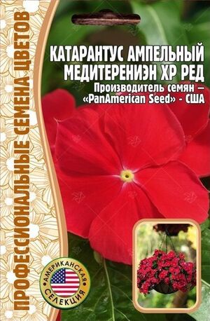 Катарантус гибридный Медитерениэн ХР Ред однолетник Григорьев