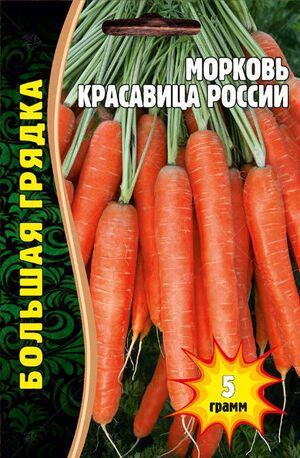 Морковь Красавица России Григорьев